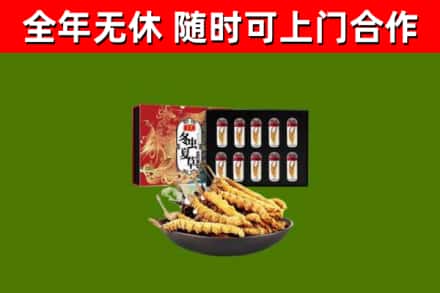 武汉市烟酒回收冬虫夏草礼盒.jpg